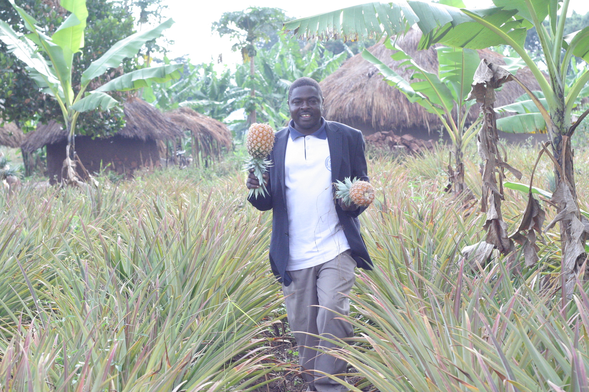 Man walking with pineapples in his hands