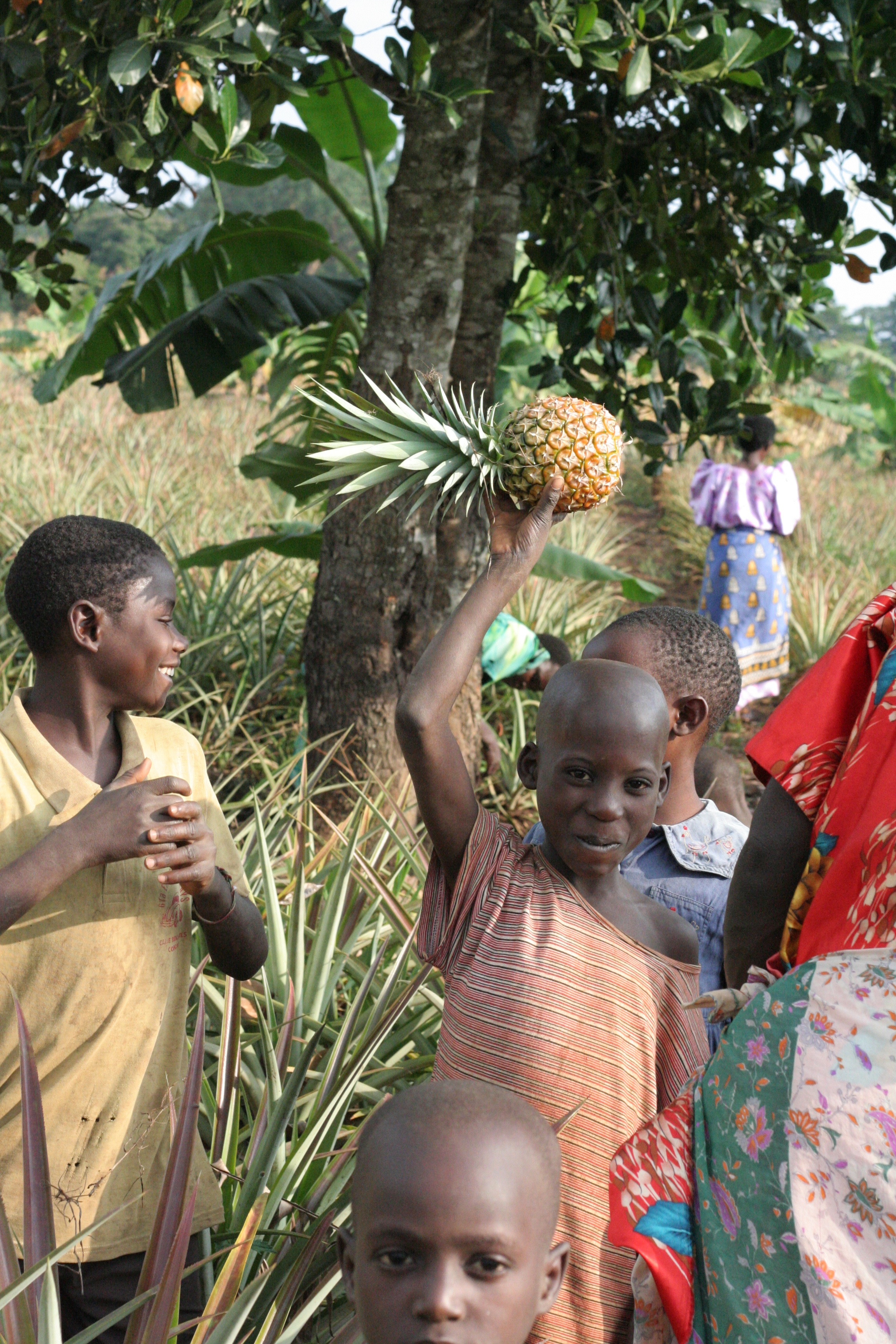Kids smiling, one holding a pineapple up