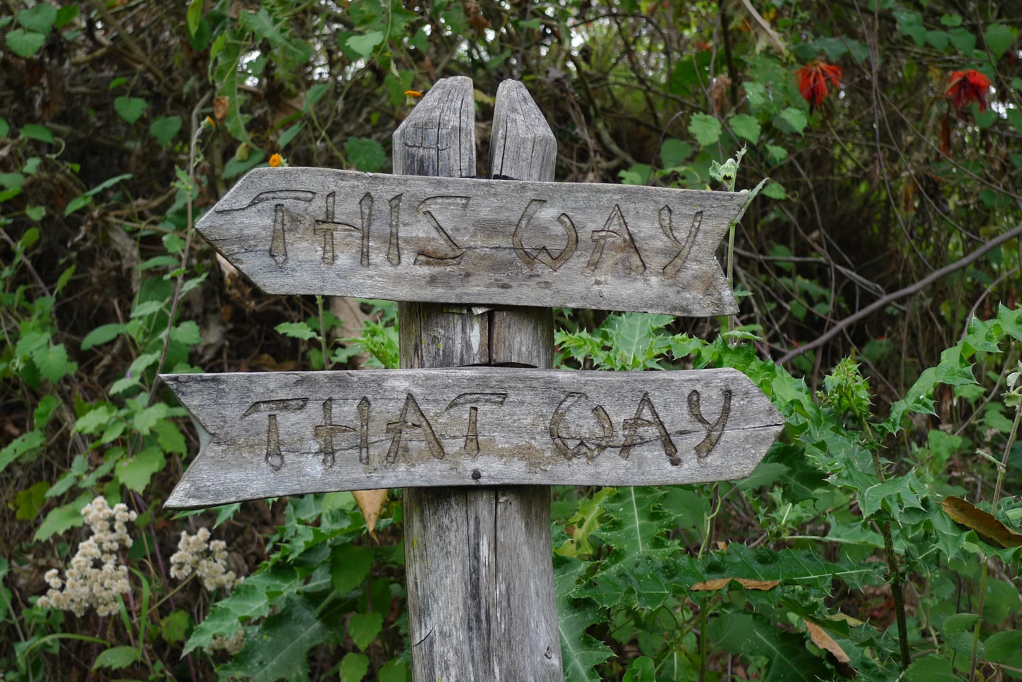 Two signs pointing opposite directions, now says 'this way' & one says 'that way'