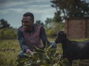 Man feeding a goat in Uganda